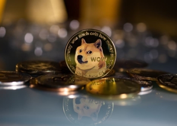 Dogecoin (DOGE) Madenci Gelirleri Rekor Kırdı.