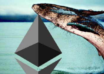 WhaleStats Verilerine Göre Ethereum Balinaları Birkaç Oyun Altcoinine Yükleniyor