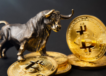 Bitcoin Boğa Koşusunun 2022’ye Gitmesinin 7 Nedeni