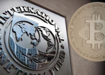 Uluslararası Para Fonu (IMF), Küresel Kapsamda Kripto Düzenlemesi İstiyor