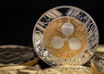 XRP İşlem Sayısı Artıyor, Rapor Ayrıntıları