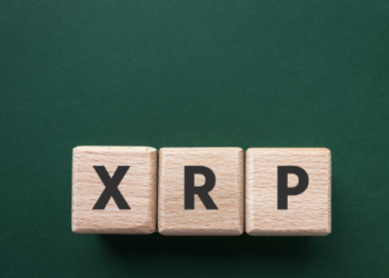 XRP İşlem Sayısı Artıyor, Rapor Ayrıntıları