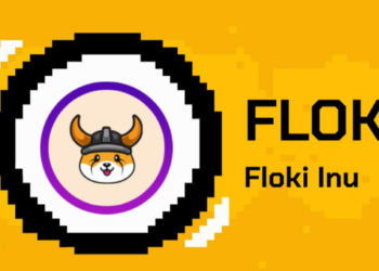 FLOKI Inu Fiyat Analizi: FLOKI Token Neden Bugün Yüzde 40 Arttı