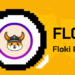 FLOKI Inu Fiyat Analizi: FLOKI Token Neden Bugün Yüzde 40 Arttı