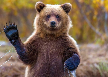 Bitcoin İçin Kötü Senaryoda Neler Olabilir?