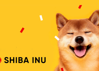 Travala Ödeme Yöntemi Olarak Shiba Inu’yu Ekledi