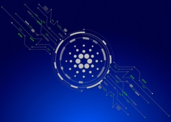 $ADA: En Çok Beklenen 5  Cardano Destekli DEX Projesine Genel Bir Bakış