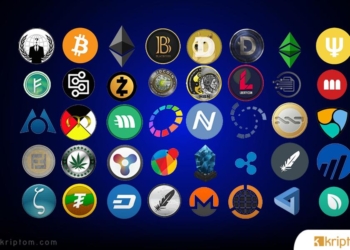 CoinGecko MarketCap İlk 100 Verilerine Göre Son 24 Saatte En Çok Değer Kazanan 5 Coin