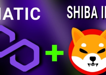 MATIC, SHIBA ve Diğer Altcoinler, Bitcoin %2,5 Geri Çekilirken Paraşütsüz Düşüyor!