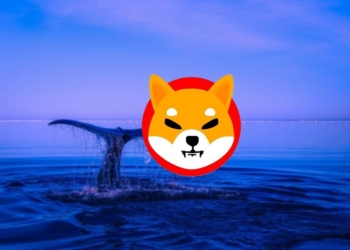 1,2 Milyar Dolar Değerinde Shiba Hodl eden SHIB Balinası Shib Almaya Devam Ediyor!