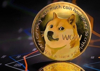 Neredeyse Bir Yıldır İlk Kez Kriptonun İlk 10 Sırasında Bir Meme Coin Yok!