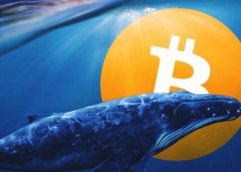 Üçüncü En Büyük Bitcoin Balinası, 50 bin Dolardan 137 Milyon Dolarlık BTC Satın Aldı