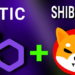 Shiba Inu (SHIB), Polygon’u (MATIC) Tahtından Etti.