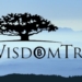 WisdomTree Tarafından Yönetilen Kripto Varlıklar 4. Çeyrekte 5 Kat Arttı 