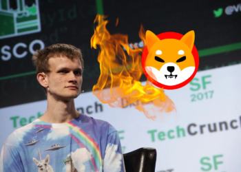 Vitalik Buterin, Kendisine Gönderilen 100 Milyon Dolarlık Shiba Inu İçin Planlarını Açıkladı 