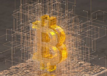 Paxos CEO’su: Bitcoin Yakında Ödemeler İçin Kullanılmayacak