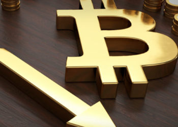 Bitcoin 42 Bin Dolara Düşmesinin Temel Nedenleri