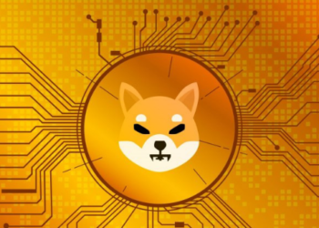 Buterin,Yaklaşık 7 Milyar Dolarlık Shiba Inu’yu (SHIB) Nasıl Yaktığını Açıkladı