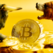 Bitcoin 2022’de Neden Boğaları ve Ayıları Hayal Kırıklığına Uğratabilir?