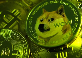 Dogecoin (DOGE) 2021 Tüm Zamanların En Yüksek Seviyesinden Yüzde 81 Düştü