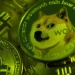 Dogecoin (DOGE) 2021 Tüm Zamanların En Yüksek Seviyesinden Yüzde 81 Düştü