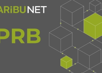 Paribu, Kendi Tokeni PRB’yi Piyasaya Sürüyor!  