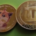 Dolaşımdaki DogeCoin (DOGE) Arzının %32’si Robinhood’da Tutuluyor