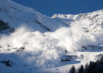 Kripto Analisti, Bu Altcoinin Patlama Yaşayacağını Söyledi.  