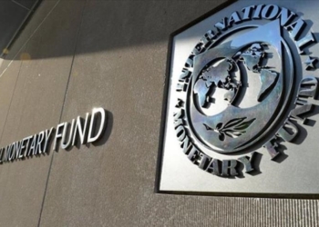 IMF, Kripto Paralar Yerine Tercih Ettiklerini Açıkladı. 