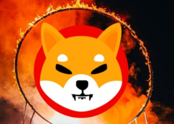 SHIB Fiyatı Artıyor, 21 Milyon Token Yakıldı