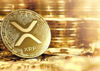 XRP İçin Balinaların Biriktirme Çılgınlığının İkinci Dalgası Ön Görülüyor