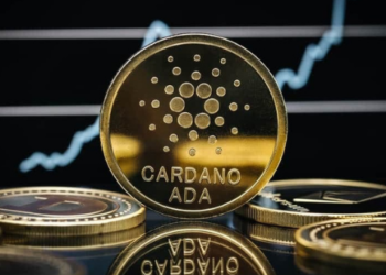 Cardano, İşlem Hacminde Zirvede! Bitcoin ve Ethereum’u geride bıraktı
