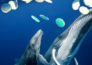 WhaleStats: En Büyük BNB Balinası 5.1 Milyon Dolarlık ADA Aldı.