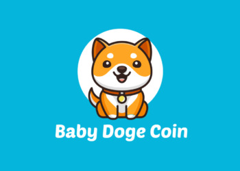 Baby Doge Alman Futbol Kulübü ile Anlaştı 