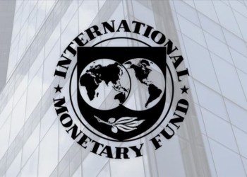 IMF, Nijerya’ya eNaira için Uyarıda Bulundu! 