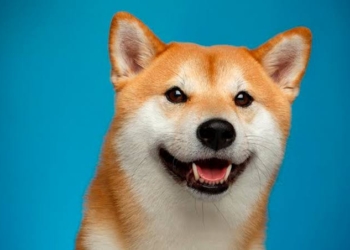 Shiba Inu (SHIB) Yatırımcılarına Müjde Geldi