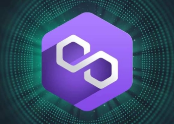 Polygon Ağında Kesinti Yaşandı! Ağ Neden Kapalı Kaldı? 