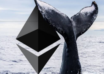 Ethereum Balinaları Shiba Inu ve Bu 3 DeFi Altcoin’e Akın Ediyor!