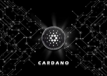 Cardano (ADA) Ağı Üzerinde Basılan NFT Sayısı 800.000’i Aştı