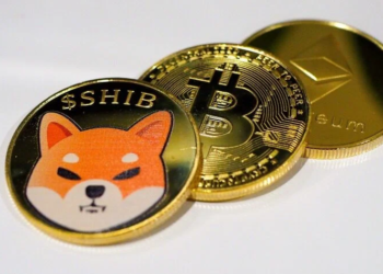 Avustralyalı Şirket, Shiba Inu (SHIB) ve Diğer Kripto Para Ödemelerini Kabul Edecek 