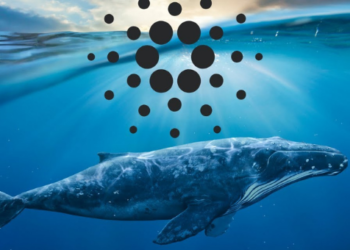 Cardano (ADA) Balina Sayısında Artış Başladı
