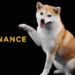 Binance, Yeni Kullanıcılara Shiba Inu Tokeni Verecek