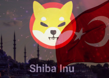 Türkiye Ekonomi Bakanından, SHIB’nin Benimsenmesine Yeşil Işık!