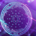 Cardano TVL’de Yeni Zirvesinde. IOHK CEO’suna Göre Bu Sadece Başlangıç