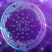 Cardano (ADA), Piyasa Değeri 40 Milyar $! Solana, Aave ve Terra’yı Geride Bıraktı