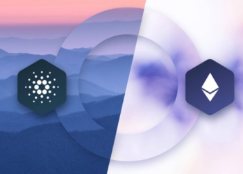 Analist Michaël van de Poppe’dan, Ethereum ve Cardano Tüccarlarına Önemli Uyarılar