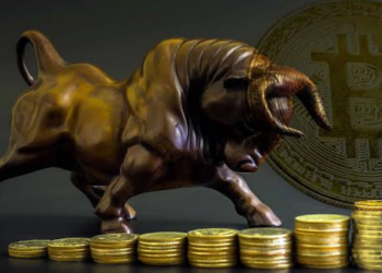 Kripto Analisti: Devasa Bitcoin Boğa Koşusu Başlıyor!