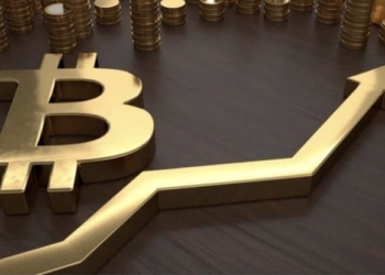 Bitcoin 2022’de İkinci En Yüksek Günlük Kapanışa Ulaştı