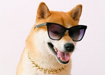 Coinbase’de En Uzun Tutulan İkinci Token Shiba Inu Oldu! Peki Lider Kim?