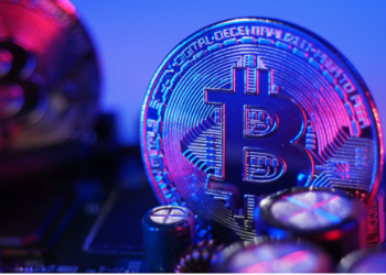 Balinalar Satmıyor! Bitcoin Biriktirmeye Devam Ediyor!